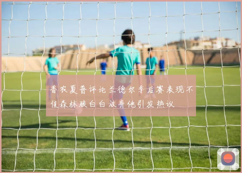 香农夏普评论兰德尔季后赛表现不佳森林狼白白放弃他引发热议